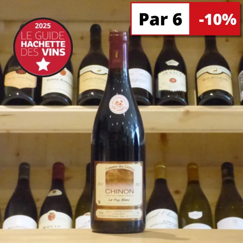 Chinon Domaine des Géleries Puy blanc 2022