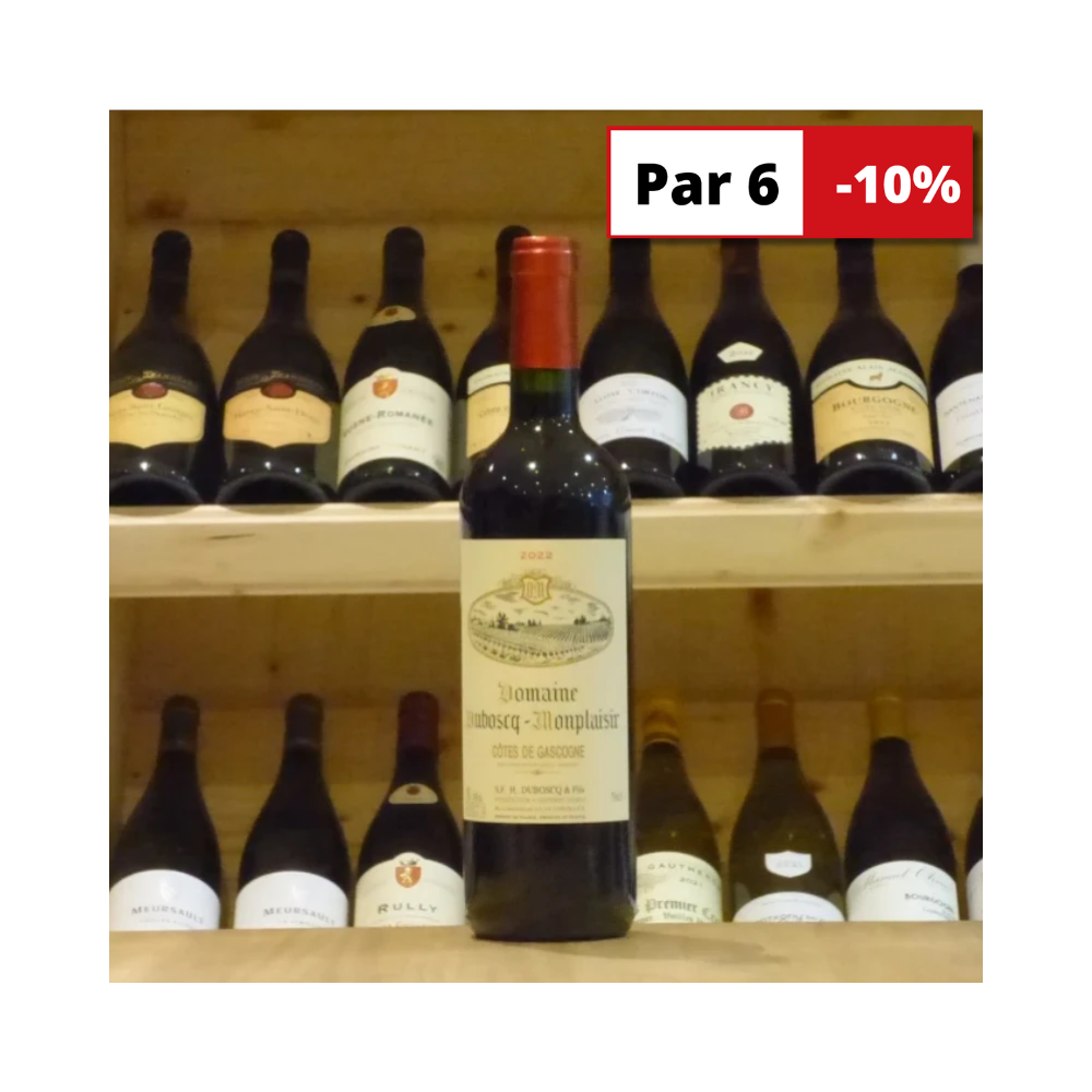 Côtes de Gascogne Domaine Duboscq Monplaisir 2022