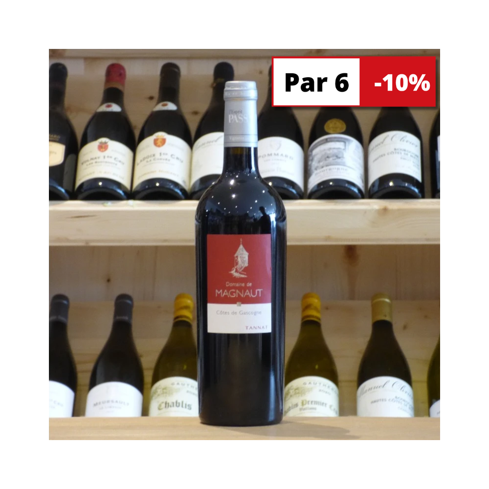 Côtes de Gascogne Domaine de Magnaut tannat 2017