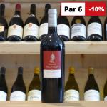 Côtes de Gascogne Domaine de Magnaut tannat 2017