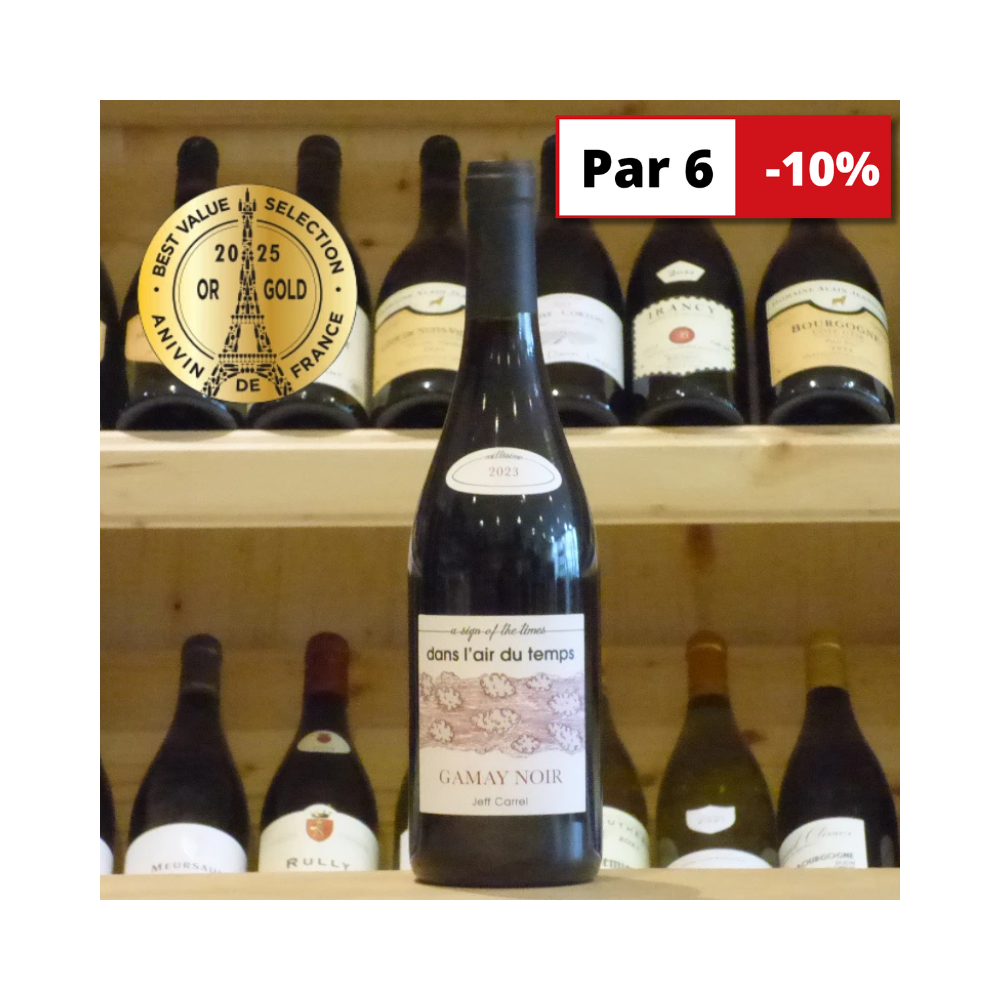 Dans l'Air du Temps Gamay noir 2023 Jeff Carrel