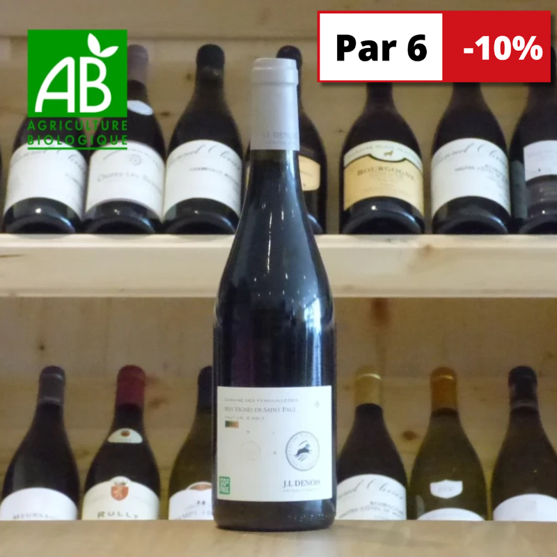 Mes Vignes de Saint Paul 2021 Domaine Jean Louis Denois