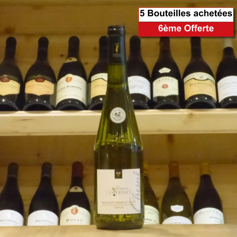 Muscadet Sèvre & Maine sur Lie Domaine de l'Espérance Prestige 2023