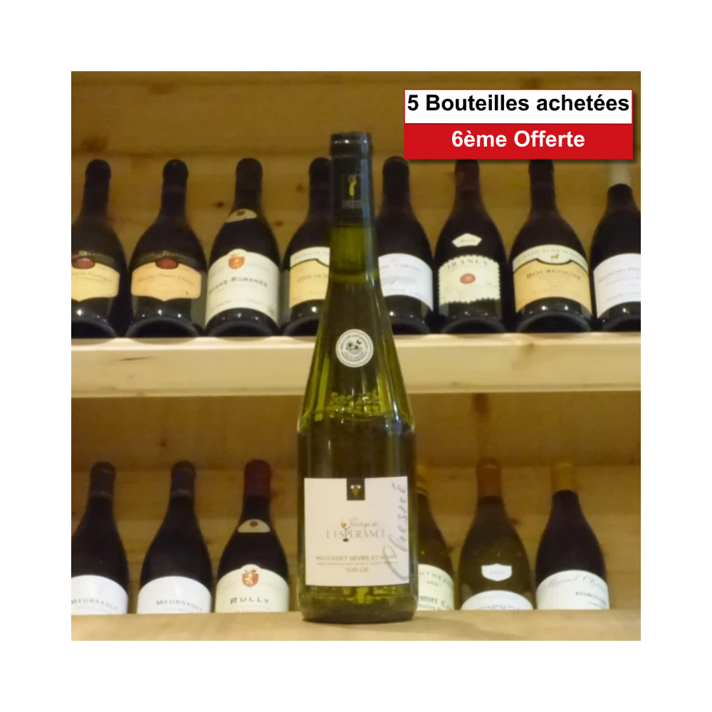 Muscadet Sèvre & Maine sur Lie Domaine de l'Espérance Prestige 2023