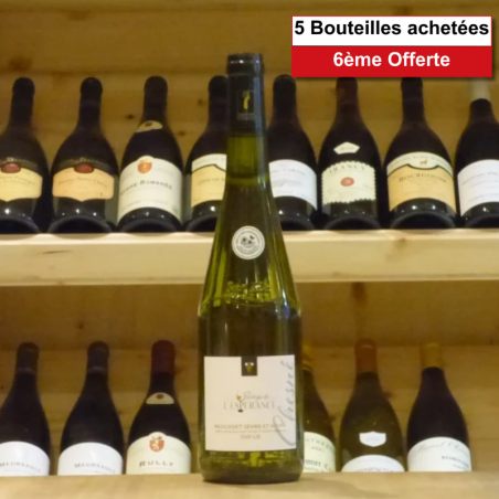 Muscadet Sèvre & Maine sur Lie Domaine de l'Espérance Prestige 2023