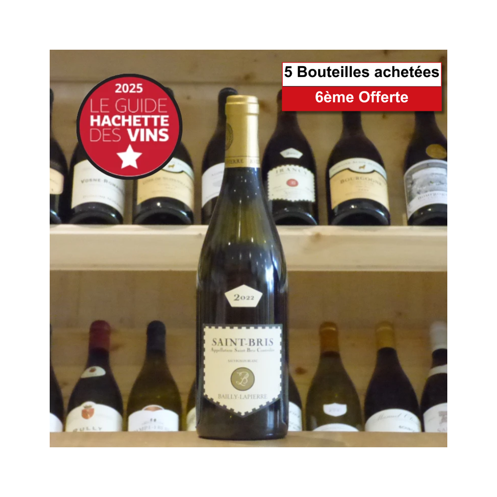 Sauvignon Saint Bris Bailly Lapierre 2022