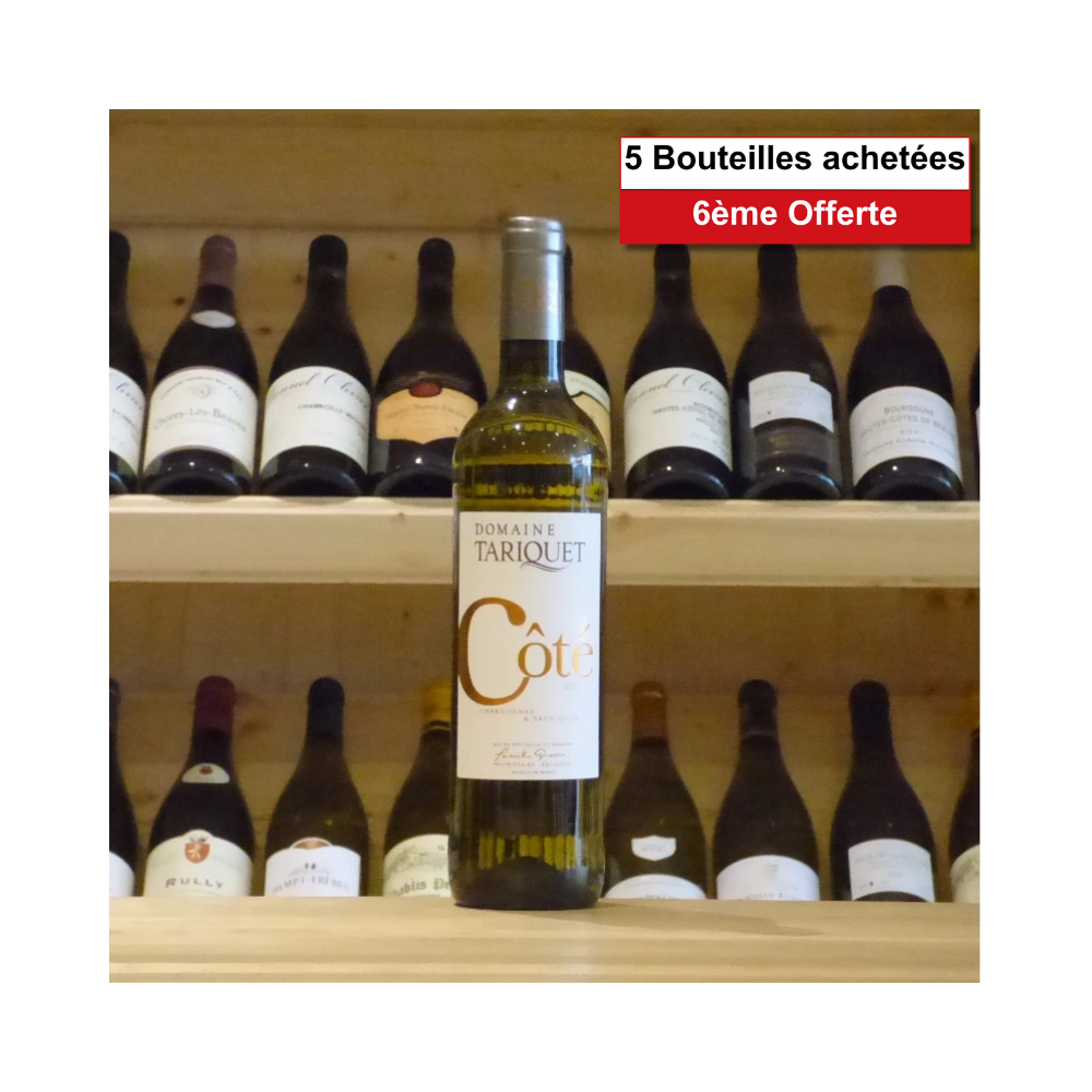 Domaine Tariquet Coté Tariquet 2023